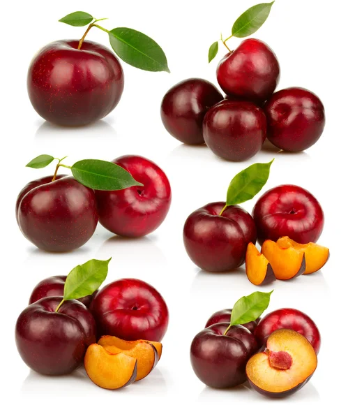 Set van rijpe rode pruimen fruit geïsoleerd op wit — Stockfoto