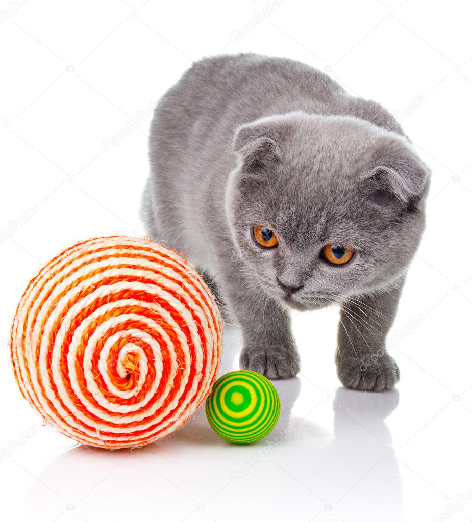 Little kitten playing with balls isolated on white