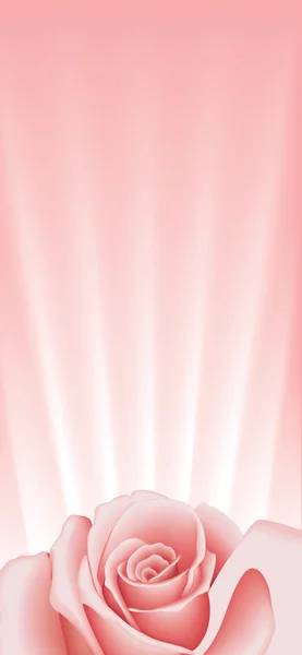 Bordure rose — Image vectorielle