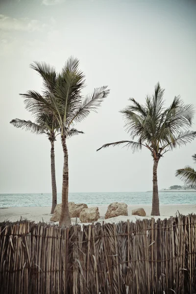 Tropická pláž v retro stylu — Stock fotografie