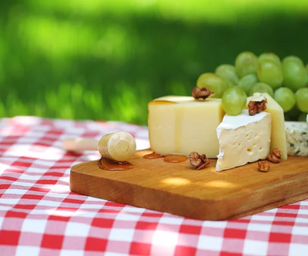Varios tipos de queso con uvas —  Fotos de Stock