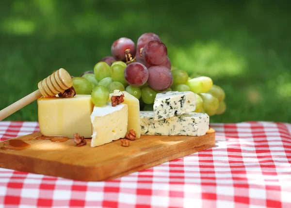Różne rodzaje sera z winogron — Zdjęcie stockowe