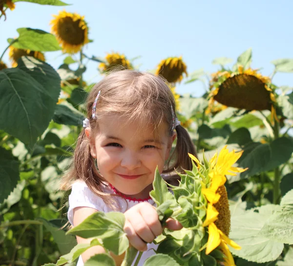 Criança bonito com girassol no campo de verão — Fotografia de Stock