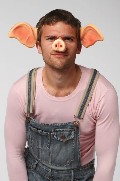 Man in pig suit — Stock Photo, Image