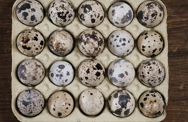 Spotted eggs on wooden background — Stock Photo, Image