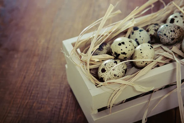 Ovos manchados em fundo de madeira — Fotografia de Stock
