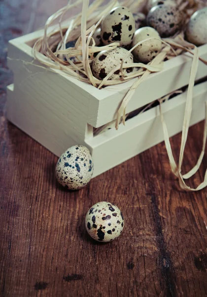 Spotted eggs on wooden background — Stock Photo, Image