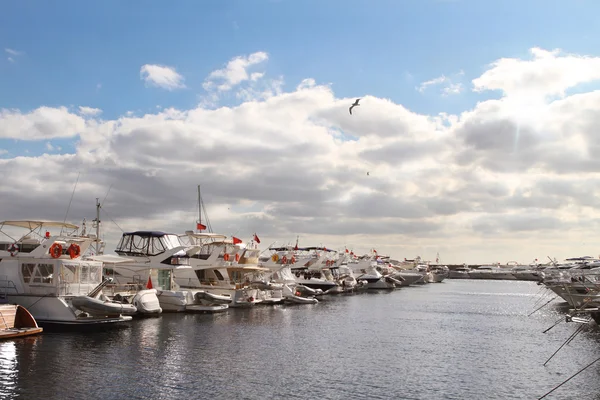 Роскошные яхты, припаркованные в бухте на берегу моря — стоковое фото