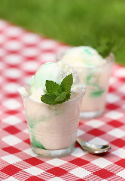 Fresh vanilla ice cream with mint outdoor — Stock Photo, Image