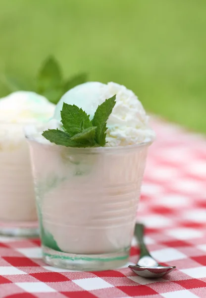 Свіже ванільне морозиво з м'ятою на відкритому повітрі — стокове фото