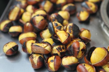 Grilled chestnuts clipart