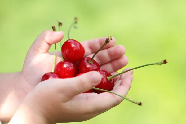 Algumas cerejas doces na mão da criança — Fotografia de Stock