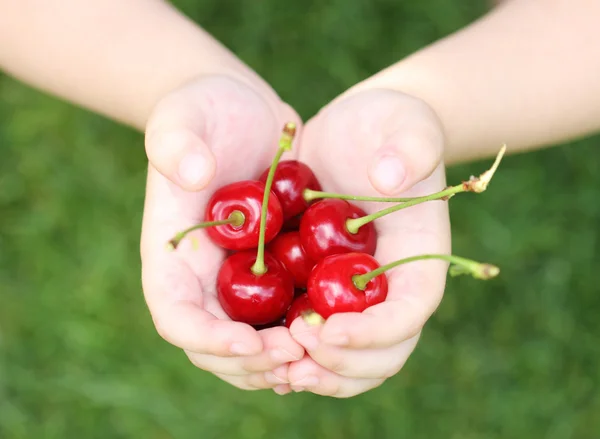 Alcune ciliegie dolci in mano del bambino — Foto Stock