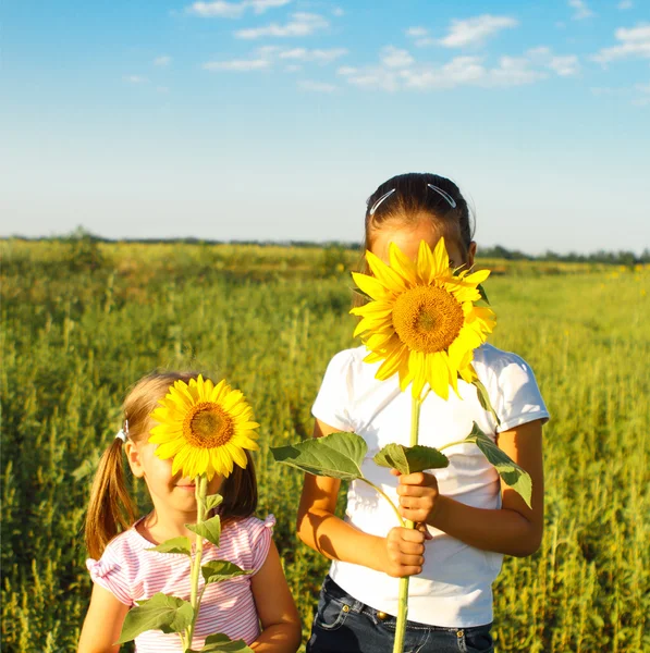 Dvě dívky roztomilý litle schovává za slunečnice — Stock fotografie