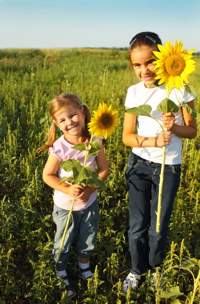 Портрет двох милих світлих дівчат з соняшниками — стокове фото