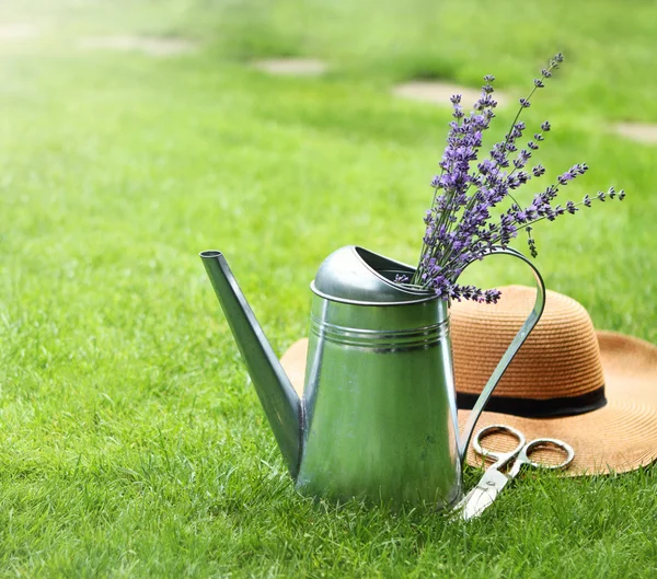 Lavender in watering can, hat and scissors — Stock Photo, Image