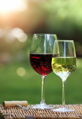 Two glasses of the white and red wine clipart