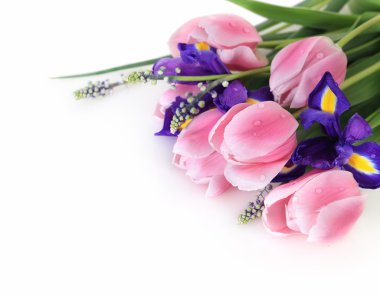 Beautiful fresh spring flowers clipart