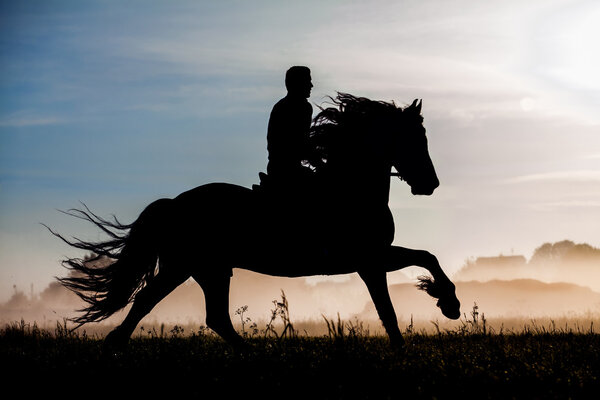 Friesian horse and rider at sunset