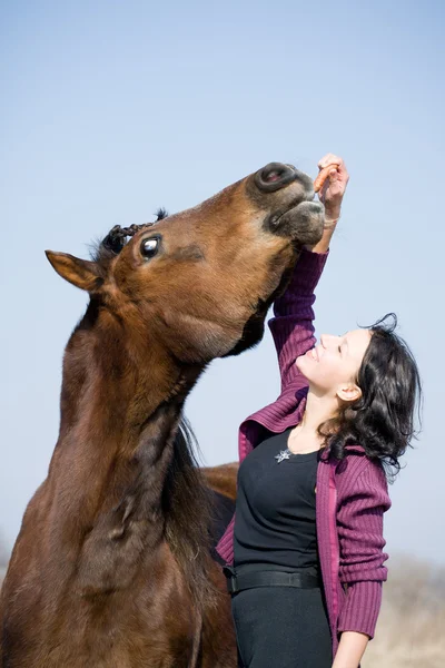 Chica joven y caballo de bahía — Foto de Stock