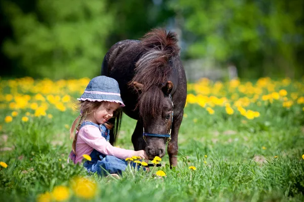 Ребенок и маленькая лошадь в поле — стоковое фото