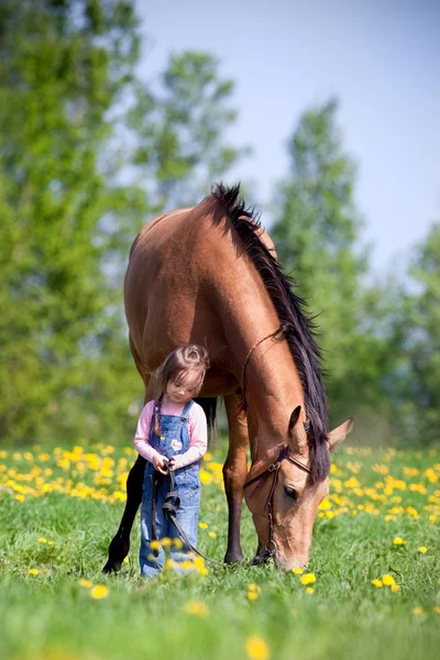 Kind en paard in het veld — Stockfoto