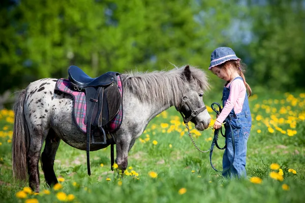 Criança e pequeno cavalo no campo — Fotografia de Stock
