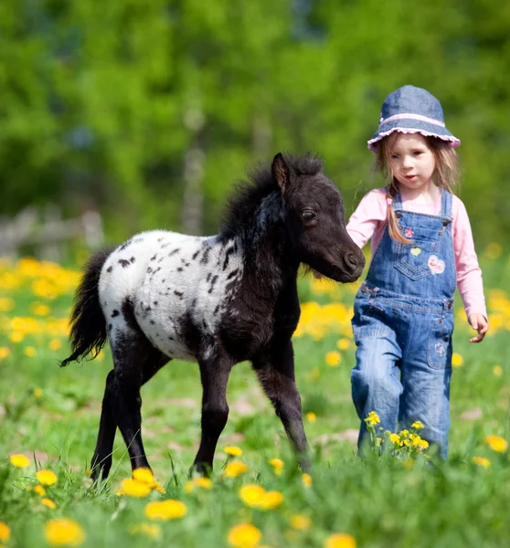 Ребенок и жеребенок в поле — стоковое фото