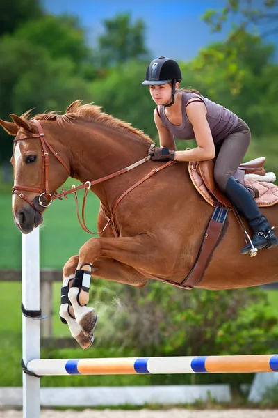 Jeune fille sautant avec cheval châtain — Photo