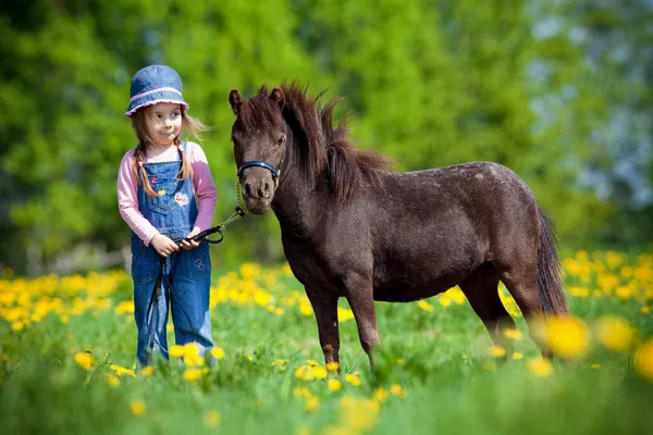 Kind en klein paard in het veld — Stockfoto