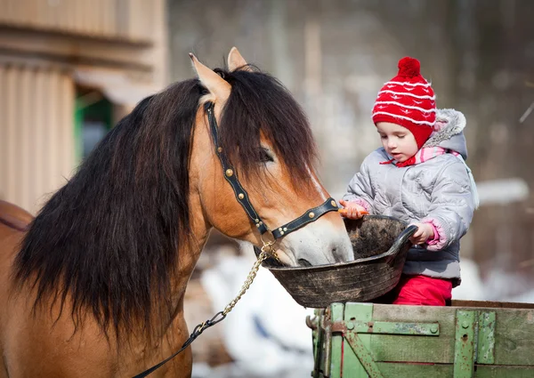 Barn utfodring en häst Royaltyfria Stockfoton