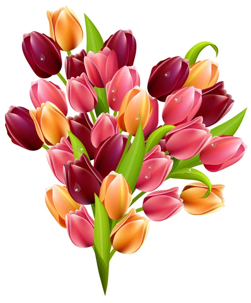 Um bando de tulipas —  Vetores de Stock