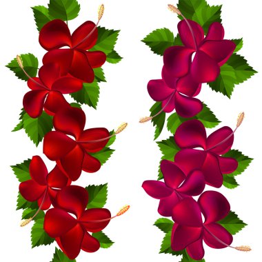 Samless border made of hibiscus flowers clipart