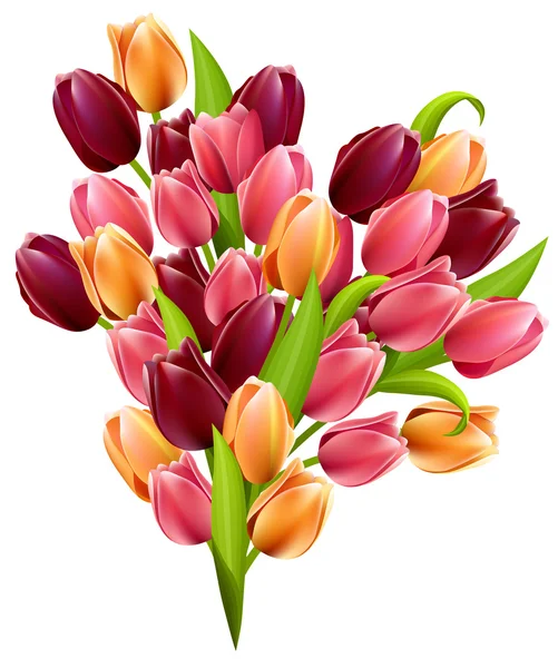 Gran racimo realista de tulipanes — Vector de stock