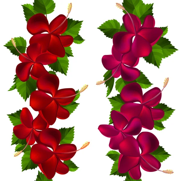 Samless border made of hibiscus flowers — Stock Vector