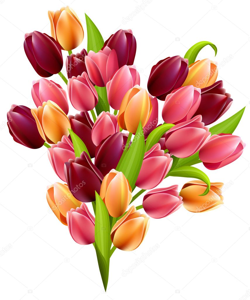 Big realistic bunch of tulips