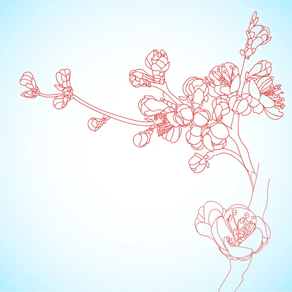 Background with sakura flowers — Stock Vector