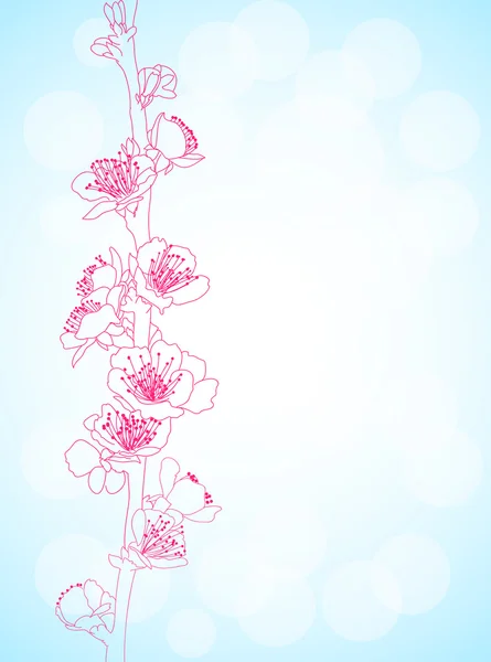 Sfondo con fiori di sakura — Vettoriale Stock