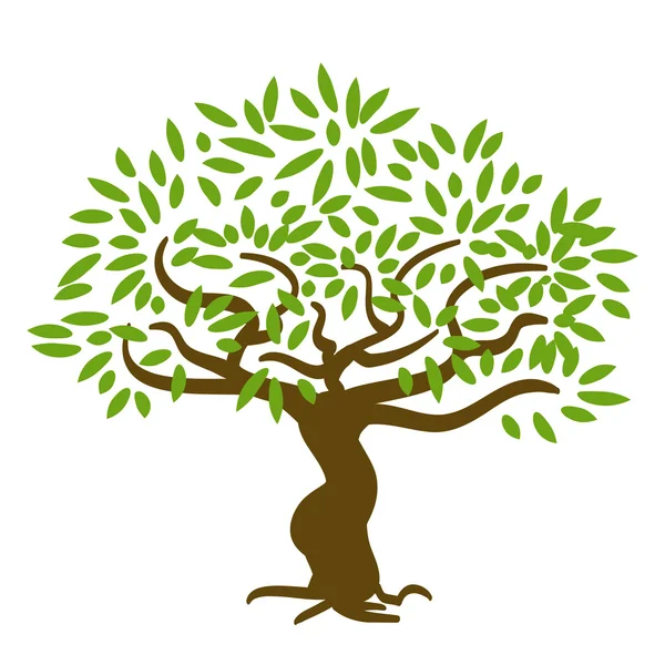 Árbol con hojas verdes sobre blanco — Vector de stock