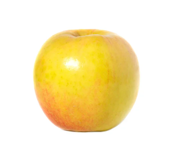 Желтый с красным яблоком на белом — стоковое фото