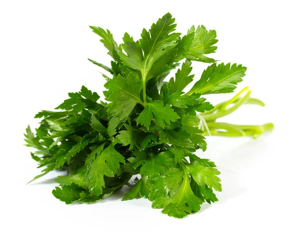 stock image Fresh curly leaf parsley