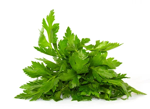 stock image Fresh curly leaf parsley