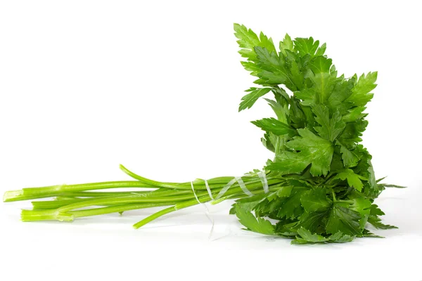 Stock image Fresh curly leaf parsley