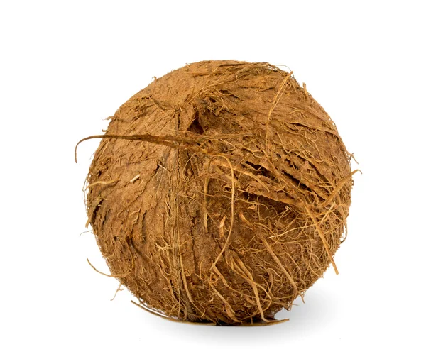 stock image Coconut