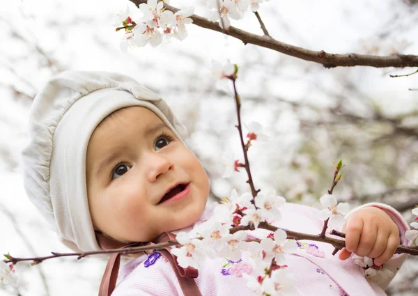 stock image Little girl in the cherry blossoming tree