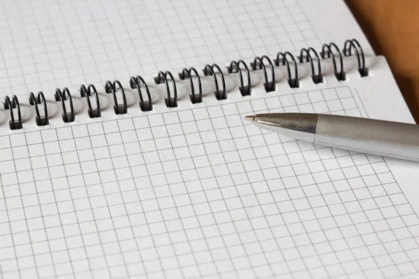 Apra il notebook e una penna — Foto Stock