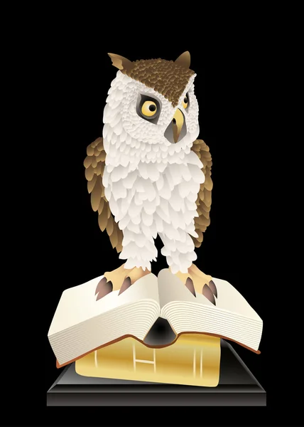 Owl and books — Stock Vector