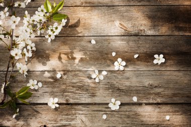 Spring flowers on wooden background clipart