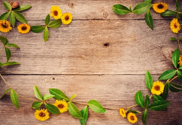 木製の背景に黄色の花 — ストック写真