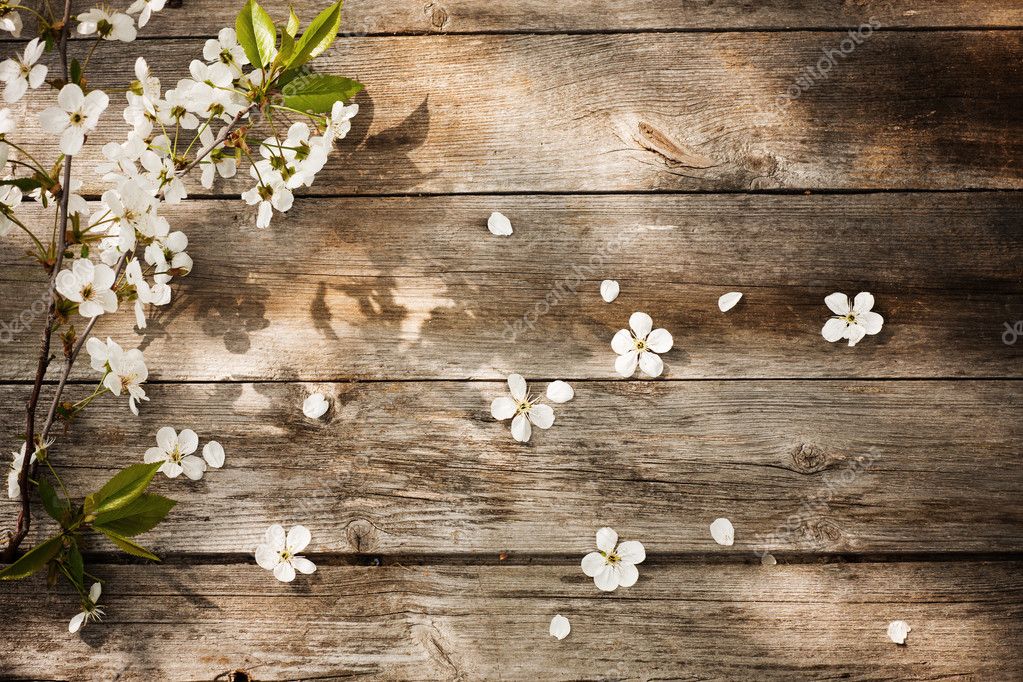 Spring flowers on wooden background Stock Photo by ©Kruchenkova 10468639